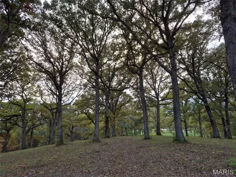 Exterior - 0 Highway D - Tract 9, Eolia, MO 63344 photo 6 of 22