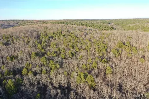 tbd County Road 426, Poplar Bluff, MO 63901