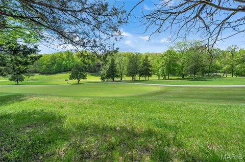 900 Silver Fox Dr, Wright City, MO 63390 photo 16