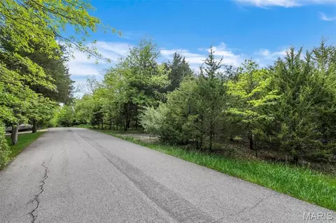 900 Silver Fox Dr, Wright City, MO 63390 photo 3