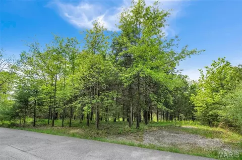900 Silver Fox Dr, Wright City, MO 63390 photo 4