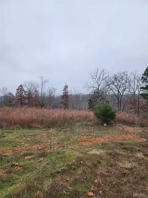 0 Hillview, Dixon, MO 65459 photo 3