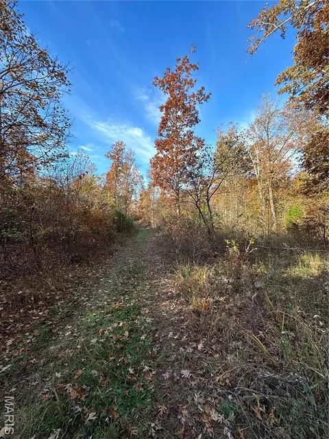 tbd Tract 1 Bobwhite Ln, Fairdealing, MO 63939 photo 23