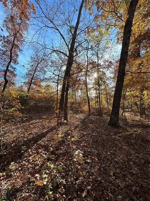 tbd Tract 1 Bobwhite Ln, Fairdealing, MO 63939 photo 25