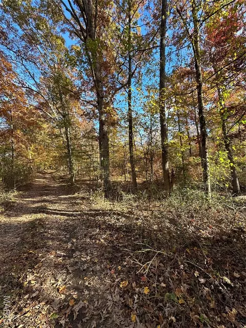 tbd Tract 1 Bobwhite Ln, Fairdealing, MO 63939 photo 26