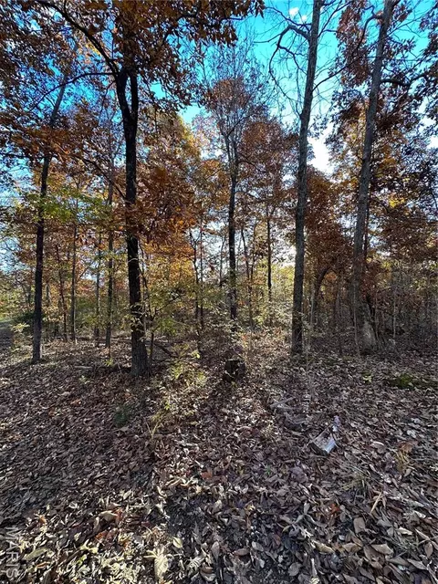 tbd Tract 1 Bobwhite Ln, Fairdealing, MO 63939 photo 20