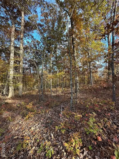 tbd Tract 1 Bobwhite Ln, Fairdealing, MO 63939 photo 22