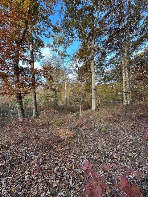 tbd Tract 1 Bobwhite Ln, Fairdealing, MO 63939 photo 4