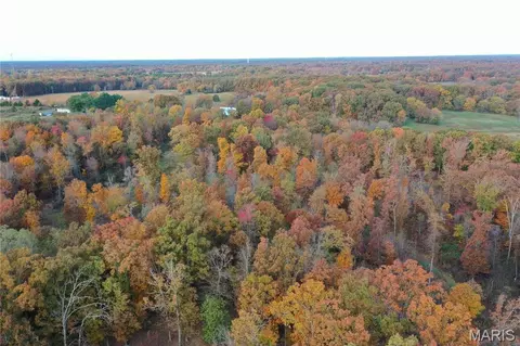 tbd Tract 1 Bobwhite Ln, Fairdealing, MO 63939 photo 11