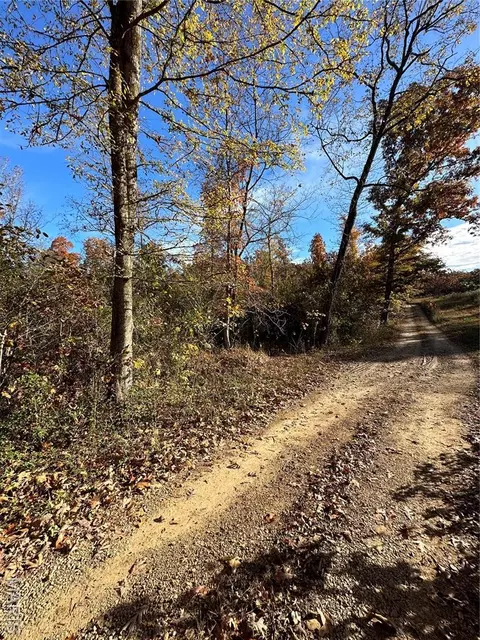 tbd Tract 1 Bobwhite Ln, Fairdealing, MO 63939 photo 27
