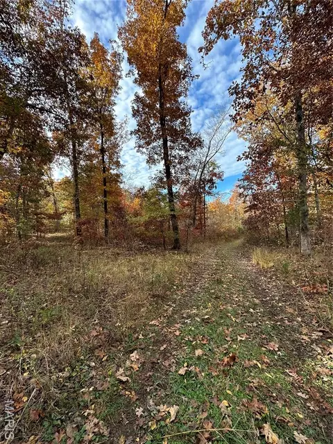 tbd Tract 1 Bobwhite Ln, Fairdealing, MO 63939 photo 2