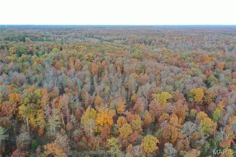 tbd Tract 2 Bobwhite Ln, Fairdealing, MO 63939 photo 13