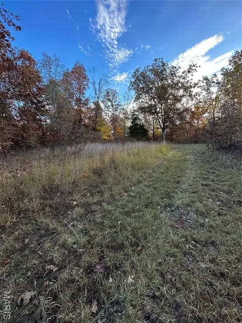 tbd Tract 2 Bobwhite Ln, Fairdealing, MO 63939 photo 4