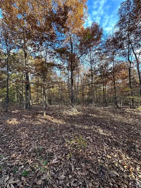 tbd Tract 2 Bobwhite Ln, Fairdealing, MO 63939 photo 21