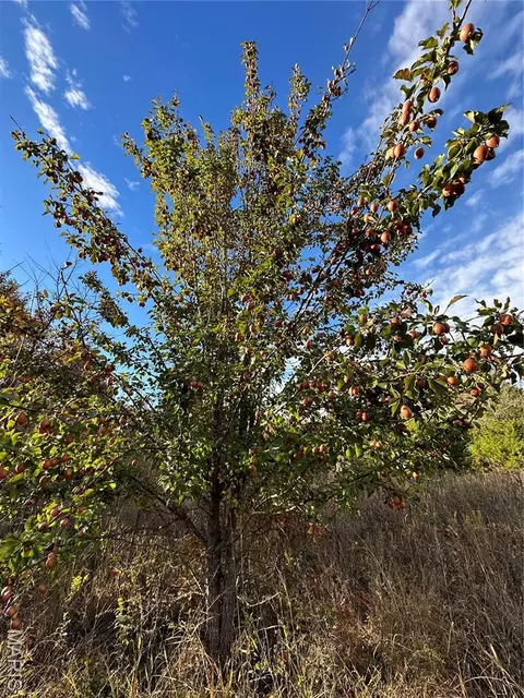 tbd Tract 2 Bobwhite Ln, Fairdealing, MO 63939 photo 23