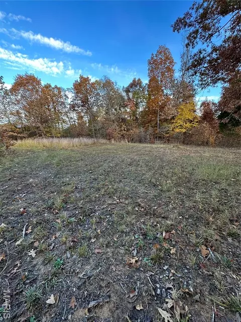 tbd Tract 2 Bobwhite Ln, Fairdealing, MO 63939 photo 5