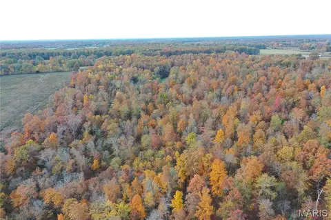 tbd Tract 5 Bobwhite Ln, Fairdealing, MO 63939 photo 18