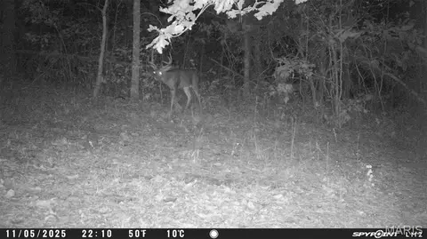 tbd Tract 5 Bobwhite Ln, Fairdealing, MO 63939 photo 55