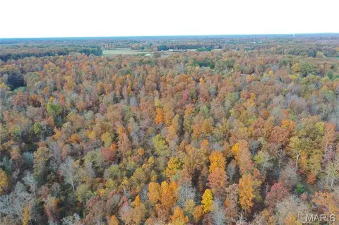 tbd Tract 5 Bobwhite Ln, Fairdealing, MO 63939 photo 12