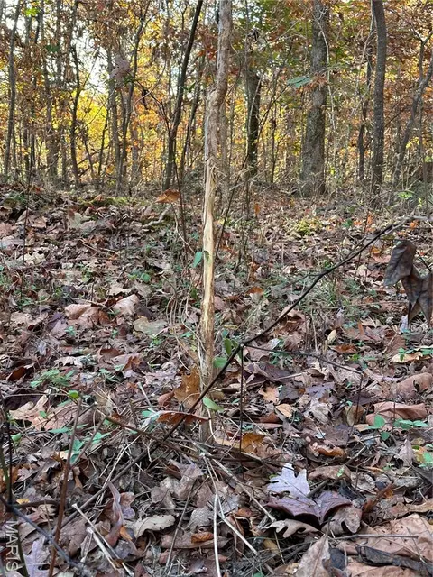 tbd Tract 5 Bobwhite Ln, Fairdealing, MO 63939 photo 27