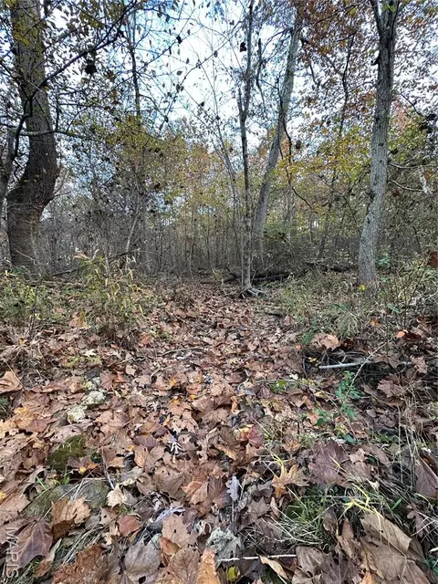 tbd Tract 5 Bobwhite Ln, Fairdealing, MO 63939 photo 22