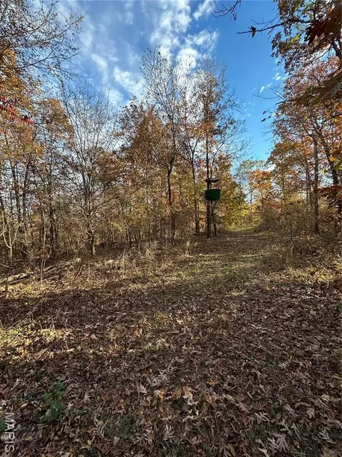 tbd Tract 5 Bobwhite Ln, Fairdealing, MO 63939 photo 5