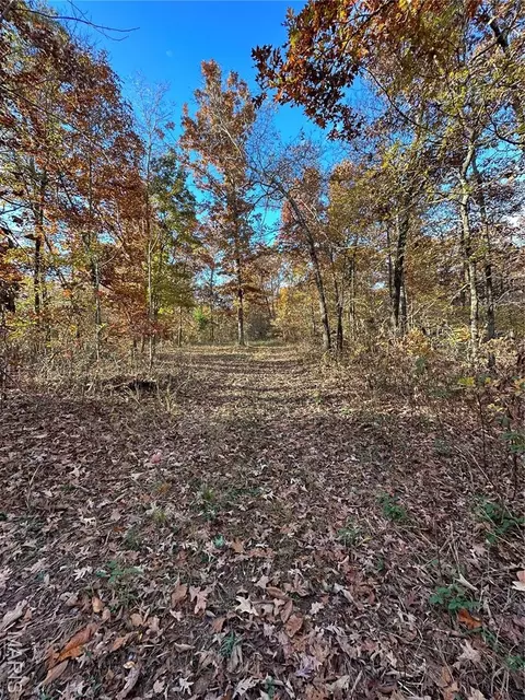 tbd Tract 5 Bobwhite Ln, Fairdealing, MO 63939 photo 30