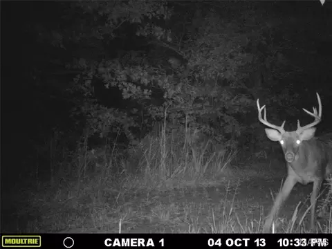 tbd Tract 5 Bobwhite Ln, Fairdealing, MO 63939 photo 51
