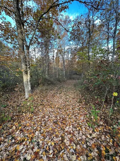 tbd Tract 5 Bobwhite Ln, Fairdealing, MO 63939 photo 21