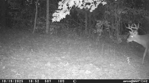 tbd Tract 5 Bobwhite Ln, Fairdealing, MO 63939 photo 57