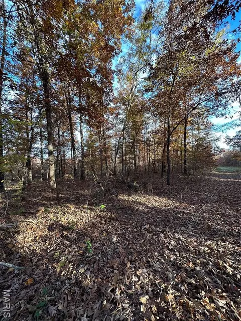 tbd Tract 5 Bobwhite Ln, Fairdealing, MO 63939 photo 28