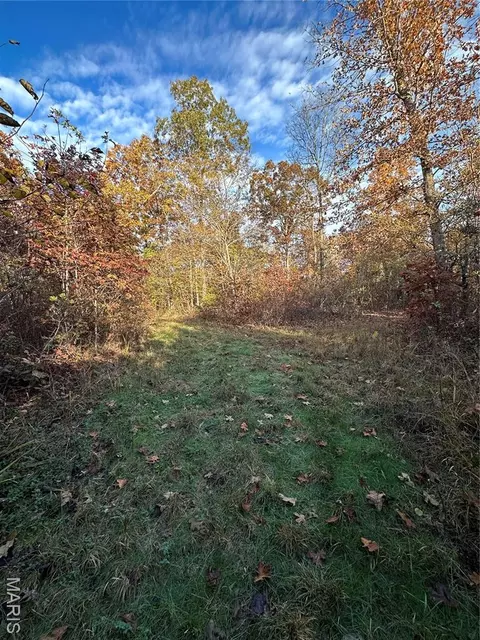 tbd Tract 5 Bobwhite Ln, Fairdealing, MO 63939 photo 25