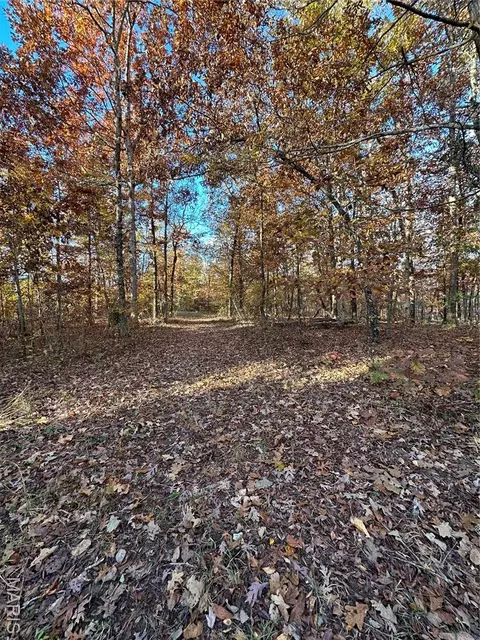 tbd Tract 5 Bobwhite Ln, Fairdealing, MO 63939 photo 26
