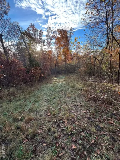tbd Tract 5 Bobwhite Ln, Fairdealing, MO 63939 photo 23