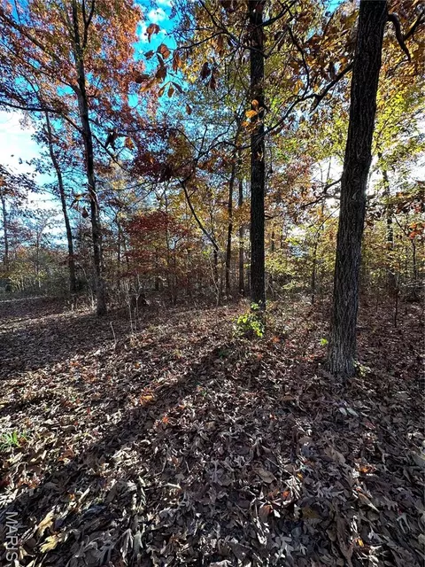 tbd Tract 5 Bobwhite Ln, Fairdealing, MO 63939 photo 29