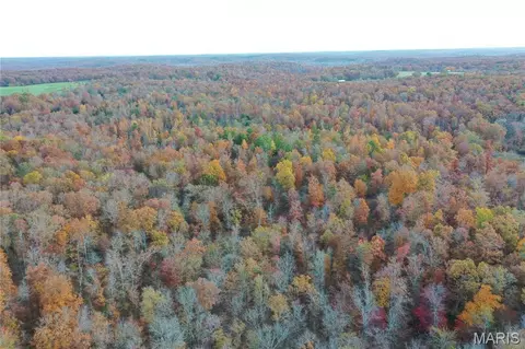 tbd Tract 5 Bobwhite Ln, Fairdealing, MO 63939 photo 14