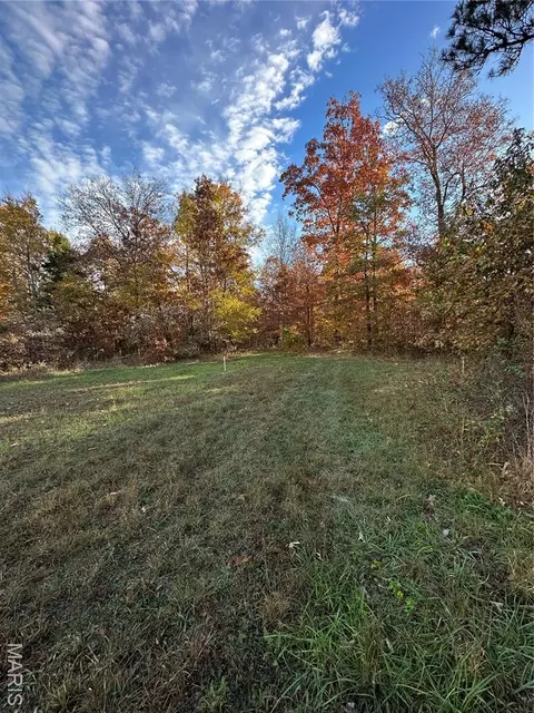 tbd Tract 4 Bobwhite Ln, Fairdealing, MO 63939 photo 22