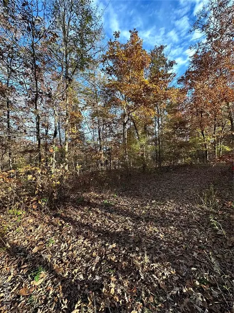 tbd Tract 4 Bobwhite Ln, Fairdealing, MO 63939 photo 20