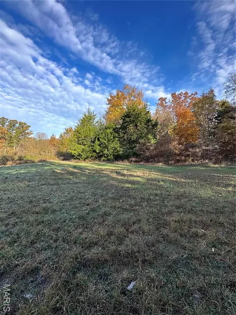 tbd Tract 4 Bobwhite Ln, Fairdealing, MO 63939 photo 21