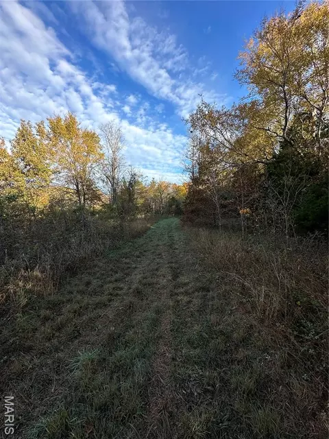 tbd Tract 4 Bobwhite Ln, Fairdealing, MO 63939 photo 4