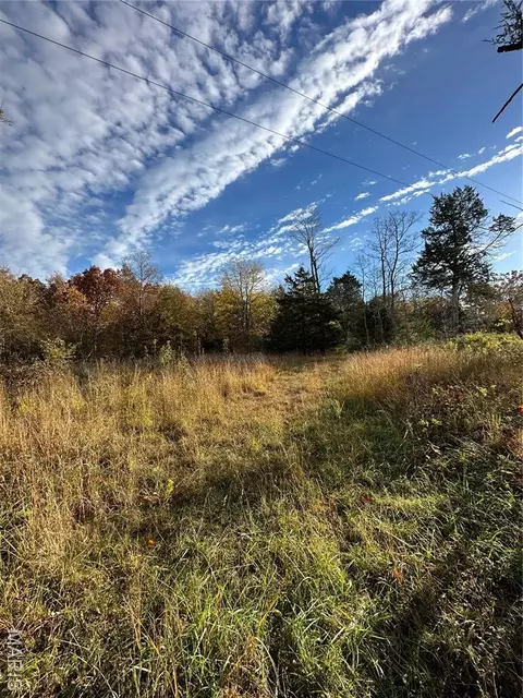 tbd Tract 4 Bobwhite Ln, Fairdealing, MO 63939 photo 26