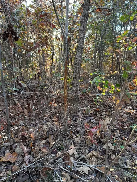 tbd Tract 4 Bobwhite Ln, Fairdealing, MO 63939 photo 18