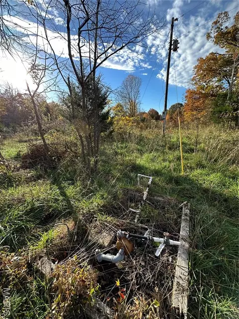 tbd Tract 4 Bobwhite Ln, Fairdealing, MO 63939 photo 27