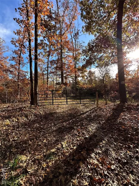 tbd Tract 4 Bobwhite Ln, Fairdealing, MO 63939 photo 29