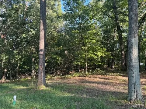 180 Steeple Point Dr Lot Apt 7 Dr, Defiance, MO 63341 photo 4