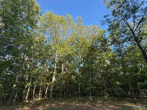 160 Steeple Point Dr Lot Apt 9 Dr, Defiance, MO 63341 photo 3