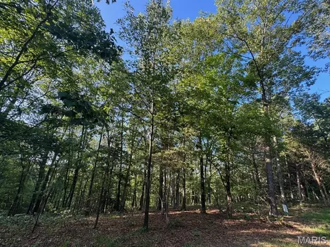 160 Steeple Point Dr Lot Apt 9 Dr, Defiance, MO 63341