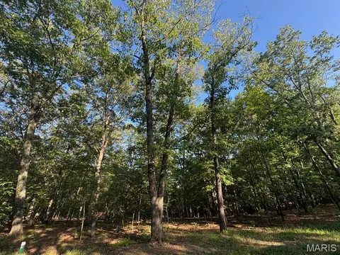160 Steeple Point Dr Lot Apt 9 Dr, Defiance, MO 63341 photo 7