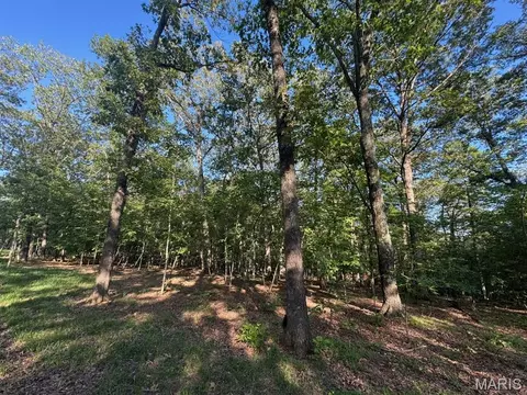 160 Steeple Point Dr Lot Apt 9 Dr, Defiance, MO 63341 photo 10