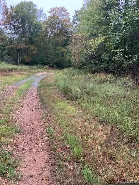 178 Madison Cr 410, Fredericktown, MO 63645